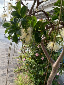 人の心は移ろいやすい