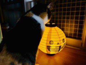 IMG_3122