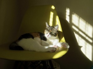 IMG_3129
