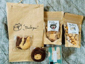 コスモス畑と「変なねこ写真展」