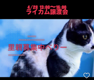 _________ 2026-04-23 14.41.51