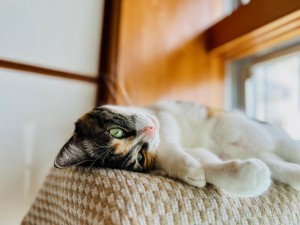 IMG_4205