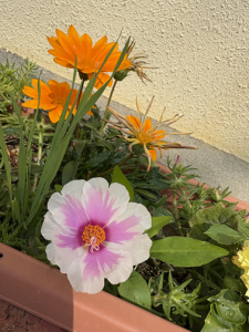 花