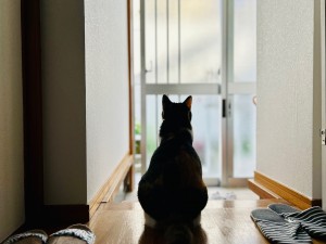 小説「夏への扉」