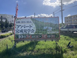S__35561498_0