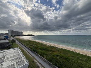 S__367558662_0