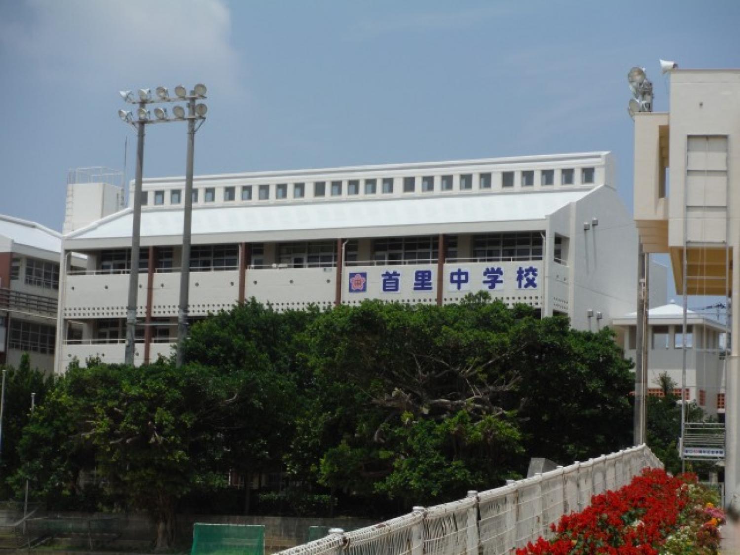 画像7