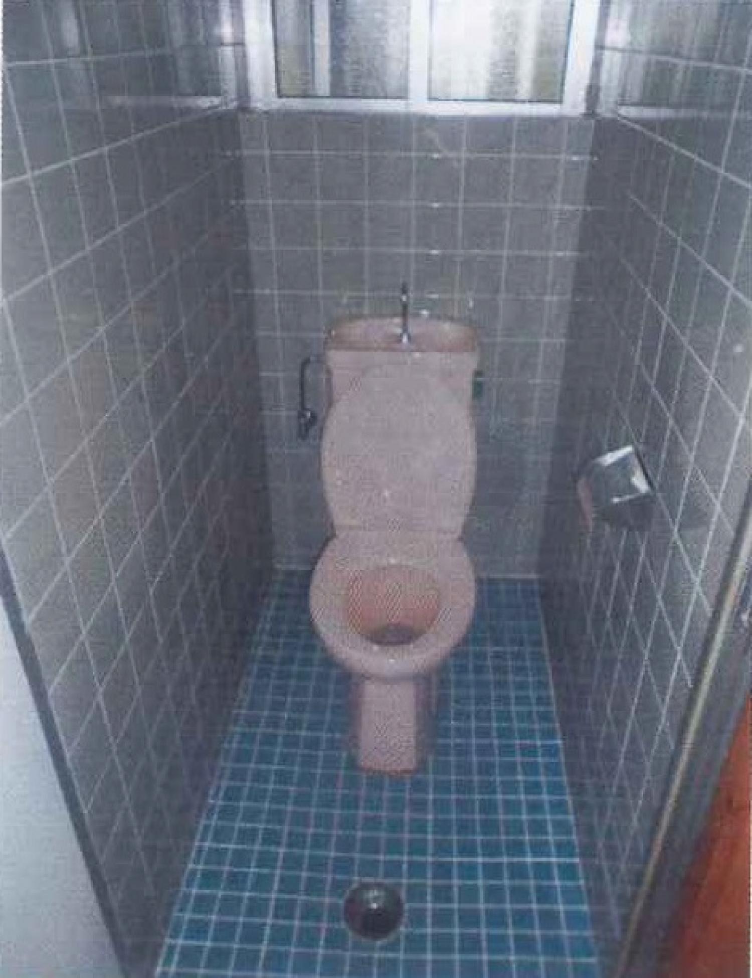 画像9