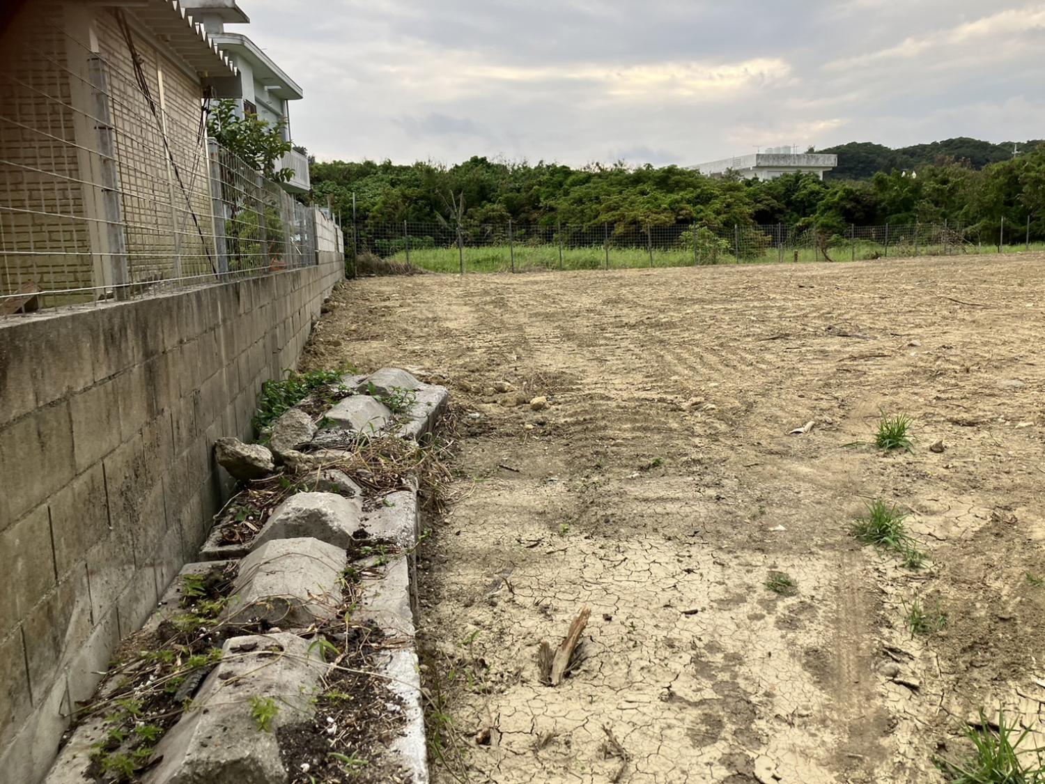 画像11