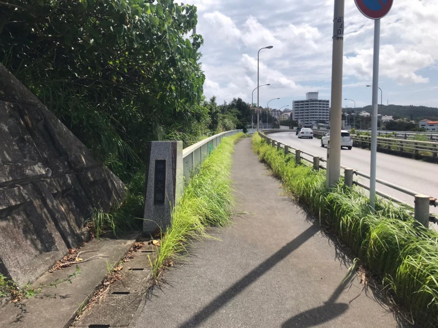 画像16
