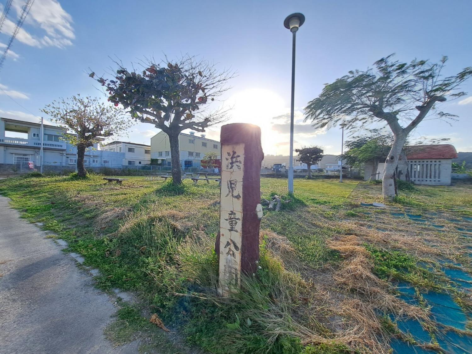 画像8