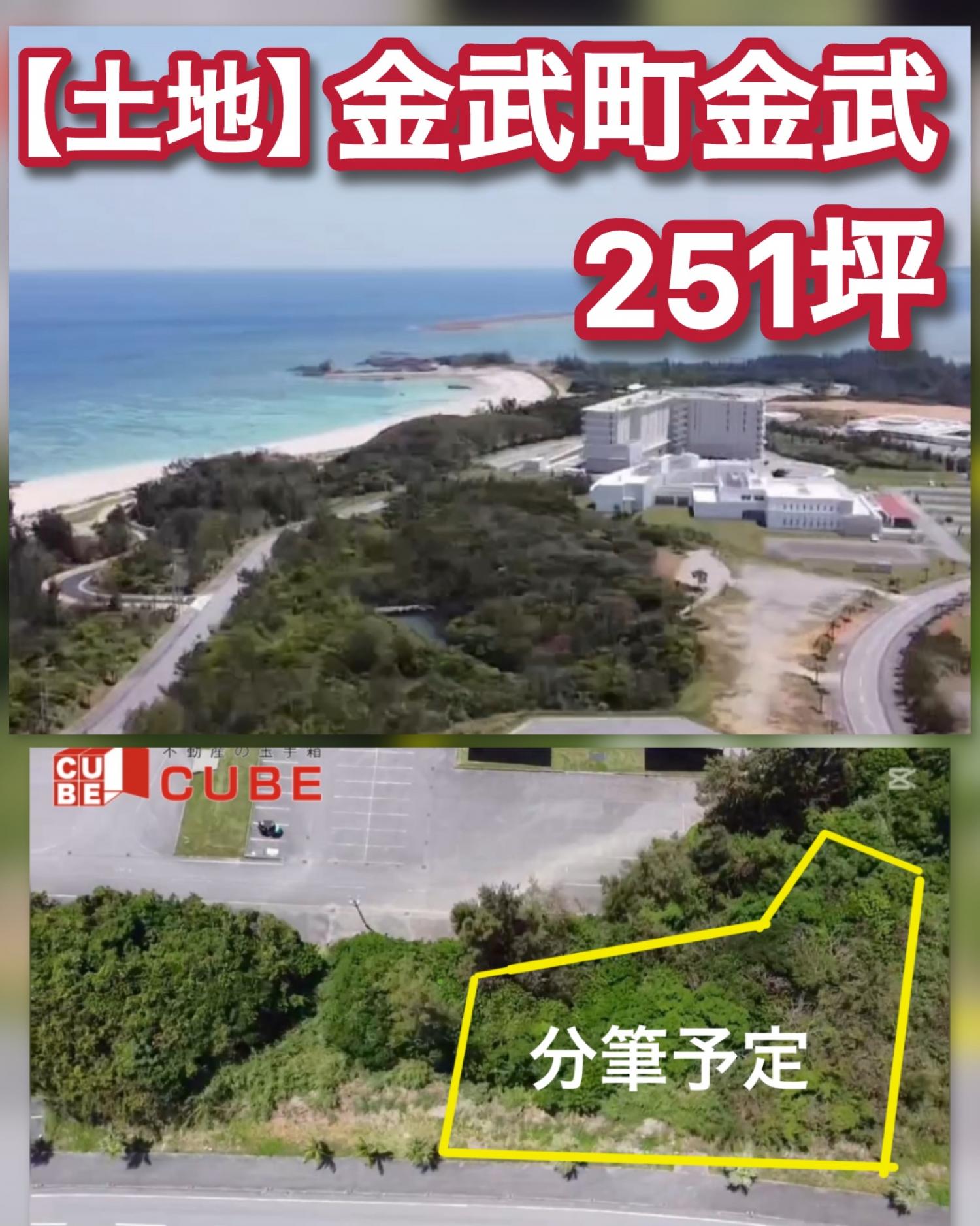 画像13