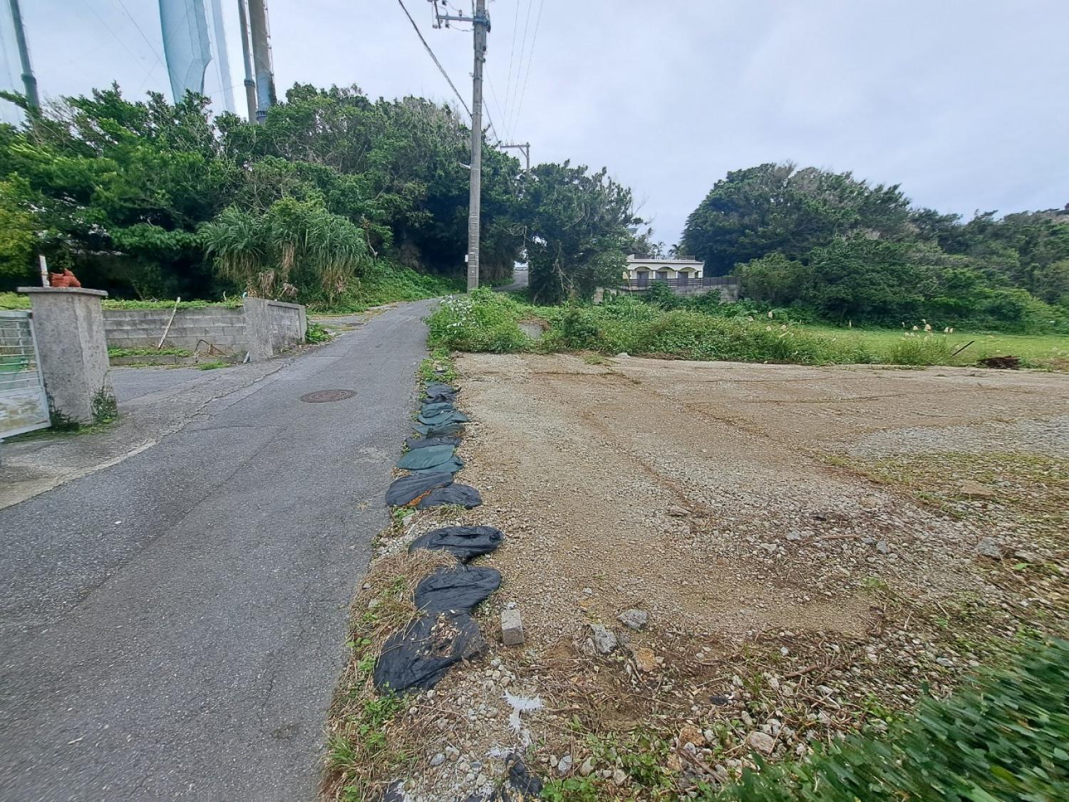 画像5