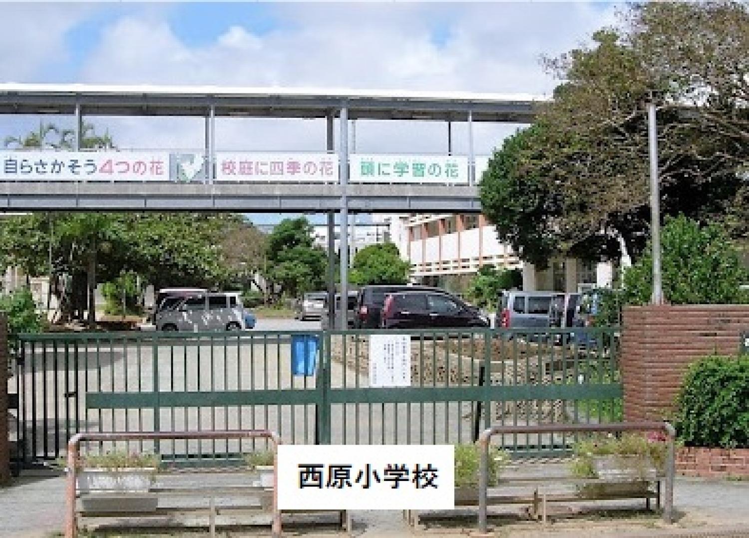 画像28