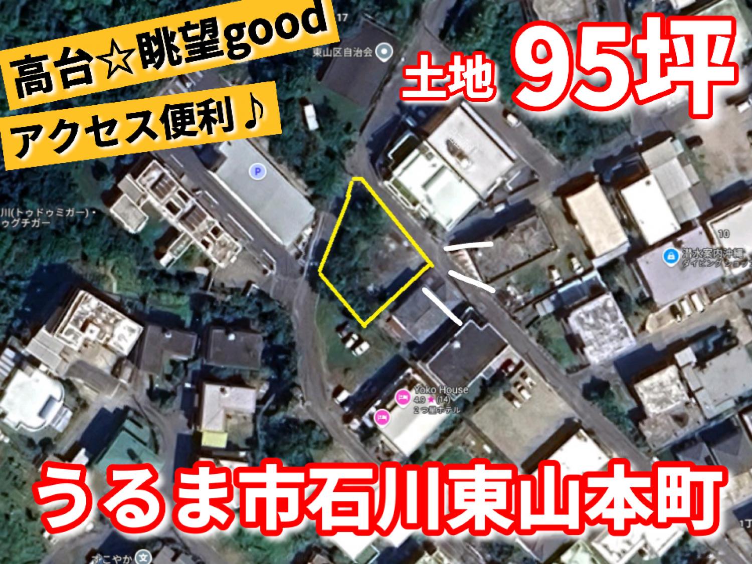 画像7