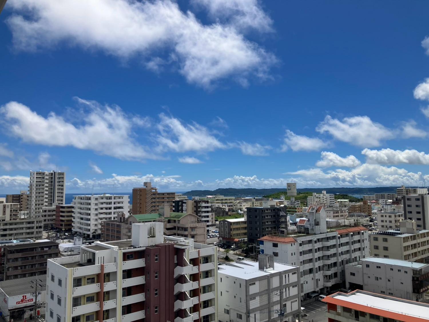 画像19